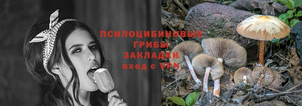 таблы Ладушкин