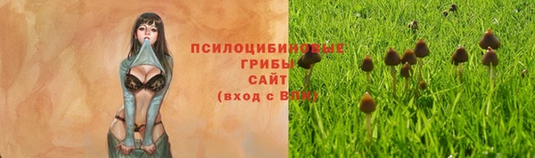 гашиш Лабытнанги